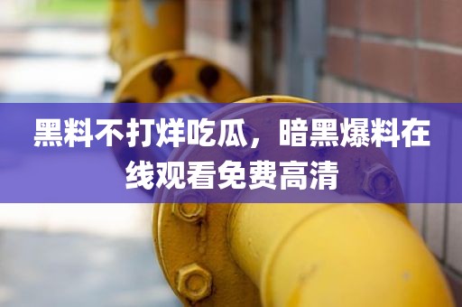 黑料不打烊吃瓜，暗黑爆料在线观看免费高清