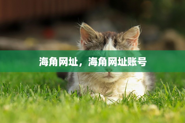 海角网址，海角网址账号