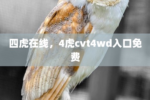 四虎在线，4虎cvt4wd入口免费