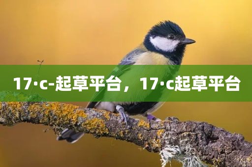 17·c-起草平台，17·c起草平台