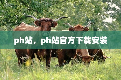 ph站，ph站官方下载安装