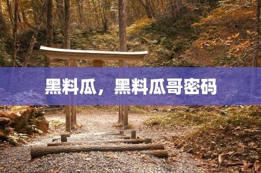 黑料瓜，黑料瓜哥密码
