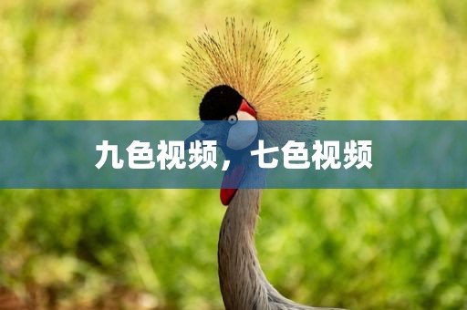 九色视频，七色视频