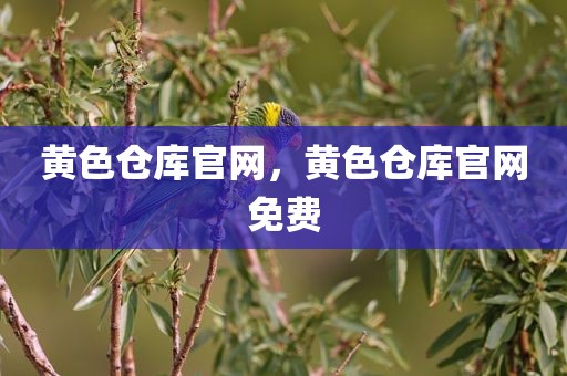 黄色仓库官网，黄色仓库官网免费