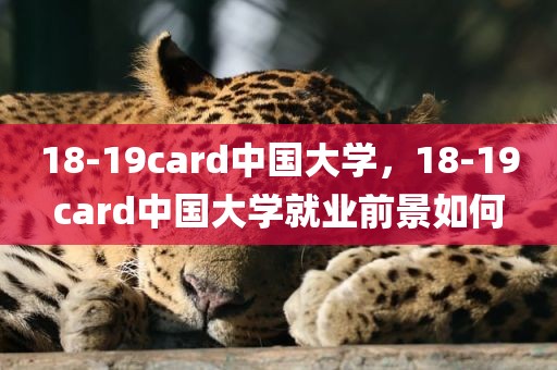 18-19card中国大学，18-19card中国大学就业前景如何