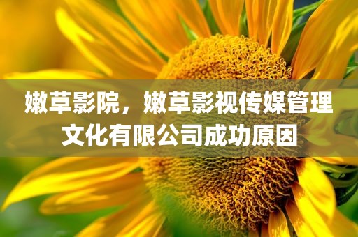嫩草影院，嫩草影视传媒管理文化有限公司成功原因
