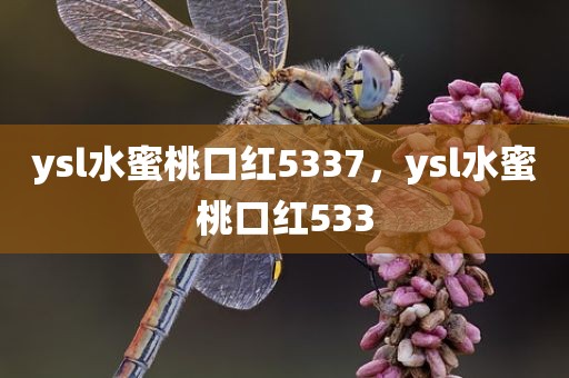 ysl水蜜桃口红5337，ysl水蜜桃口红533