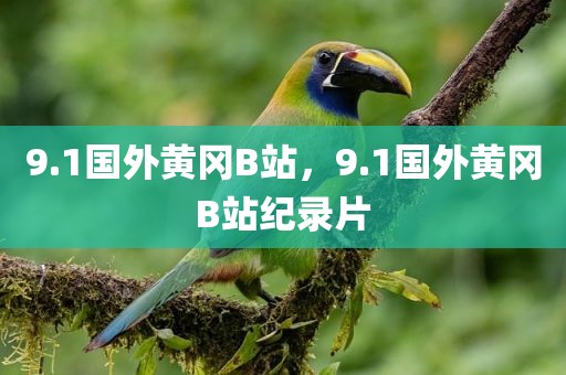 9.1国外黄冈B站，9.1国外黄冈B站纪录片