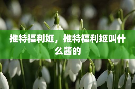 推特福利姬，推特福利姬叫什么酱的