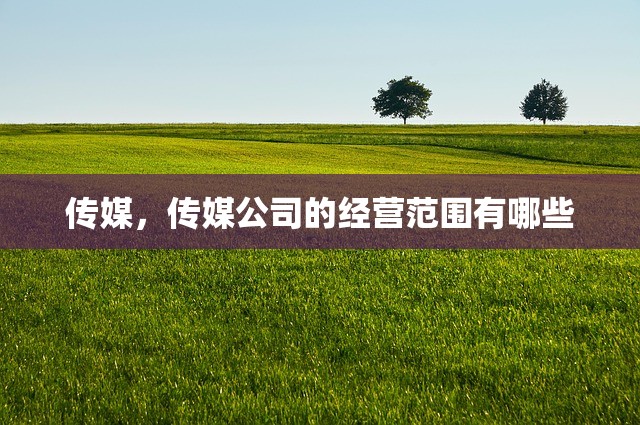 传媒，传媒公司的经营范围有哪些