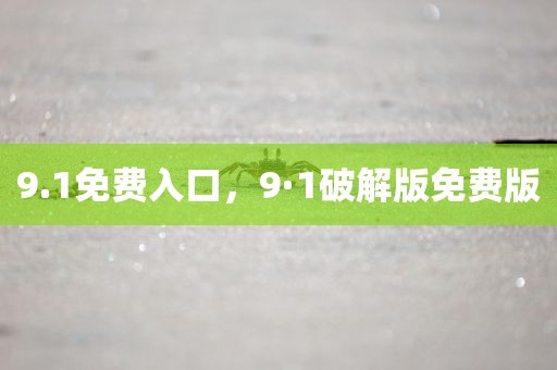 9.1免费入口，9·1破解版免费版