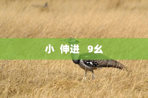 小  伸进   9幺