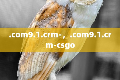.com9.1.crm-，.com9.1.crm-csgo