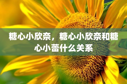 糖心小欣奈，糖心小欣奈和糖心小蕾什么关系