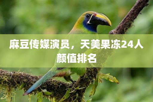 麻豆传媒演员，天美果冻24人颜值排名