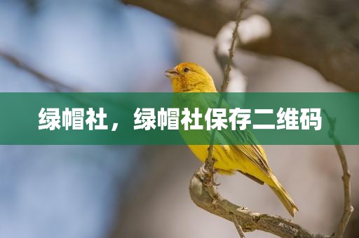 绿帽社，绿帽社保存二维码