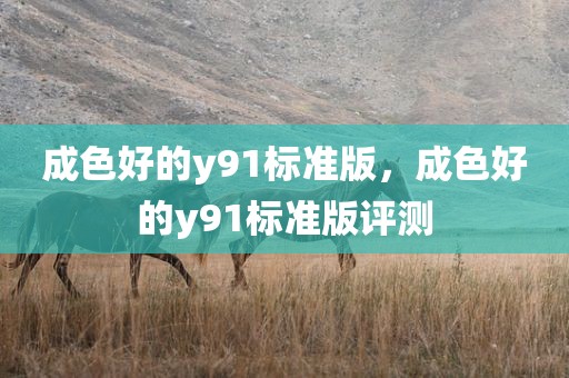 成色好的y91标准版，成色好的y91标准版评测