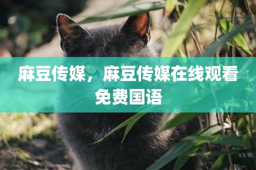 麻豆传媒，麻豆传媒在线观看免费国语
