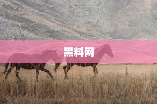 黑料网