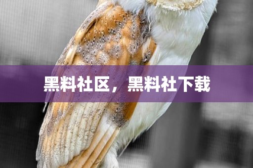 黑料社区，黑料社下载
