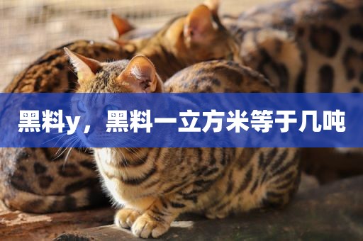 黑料y，黑料一立方米等于几吨