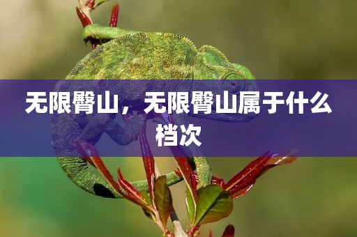 无限臀山，无限臀山属于什么档次