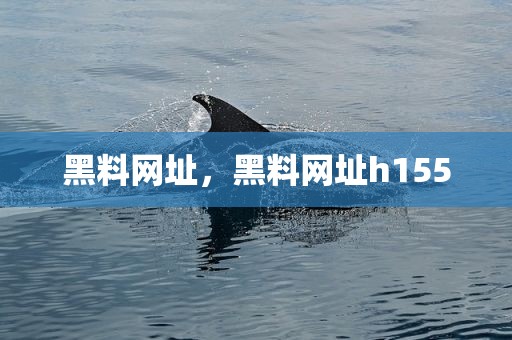 黑料网址，黑料网址h155