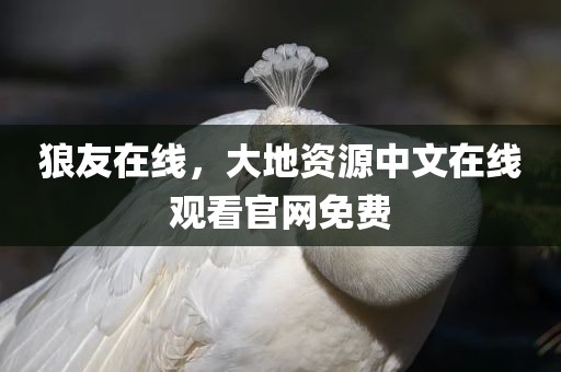 狼友在线，大地资源中文在线观看官网免费