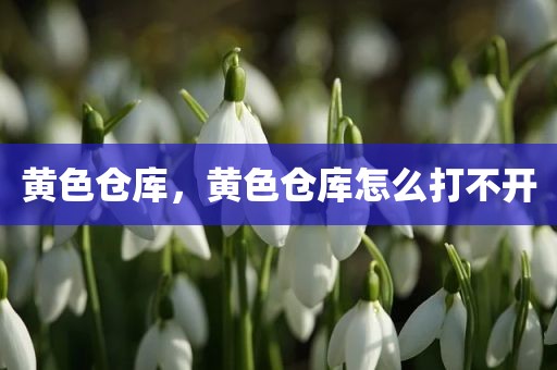 黄色仓库，黄色仓库怎么打不开