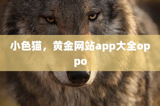 小色猫，黄金网站app大全oppo