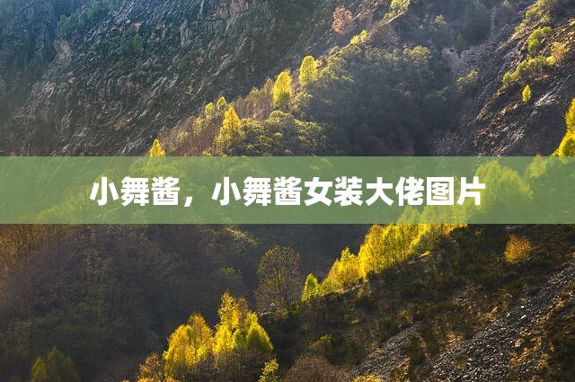 小舞酱，小舞酱女装大佬图片