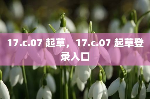 17.c.07 起草，17.c.07 起草登录入口