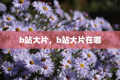 b站大片，b站大片在哪