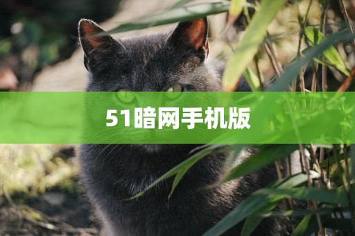 51暗网手机版