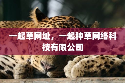 一起草网址，一起种草网络科技有限公司