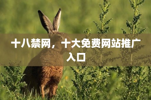 十八禁网，十大免费网站推广入口