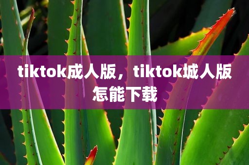 tiktok成人版，tiktok城人版怎能下载