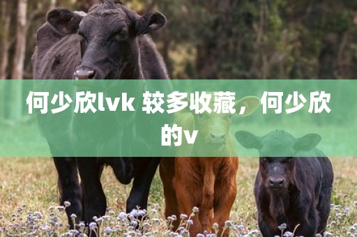 何少欣lvk 较多收藏，何少欣的v