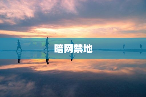 暗网禁地