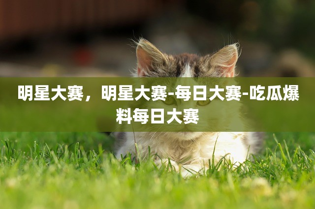 明星大赛，明星大赛-每日大赛-吃瓜爆料每日大赛