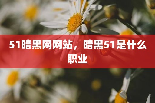 51暗黑网网站，暗黑51是什么职业