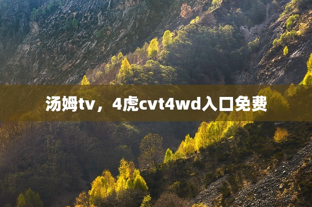 汤姆tv，4虎cvt4wd入口免费