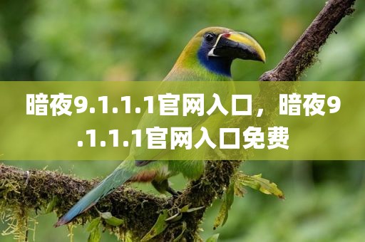 暗夜9.1.1.1官网入口，暗夜9.1.1.1官网入口免费