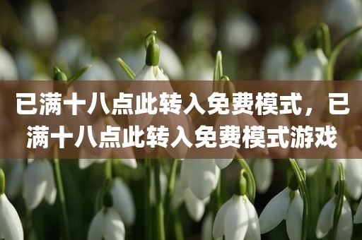 已满十八点此转入免费模式，已满十八点此转入免费模式游戏