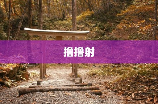 撸撸射