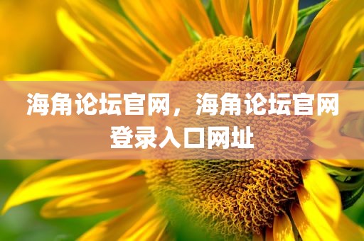 海角论坛官网，海角论坛官网登录入口网址