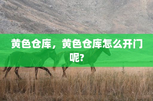 黄色仓库，黄色仓库怎么开门呢?