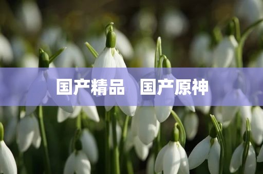 国产精品   国产原神