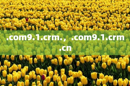 .com9.1.crm.，.com9.1.crm.cn
