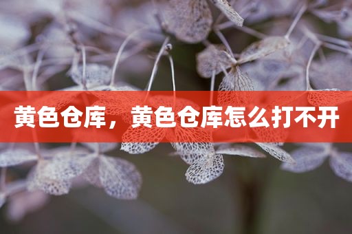 黄色仓库，黄色仓库怎么打不开